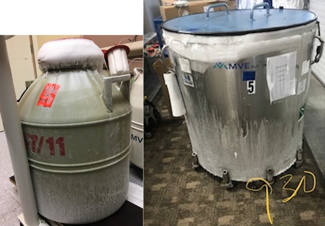 液氮罐 液氮罐